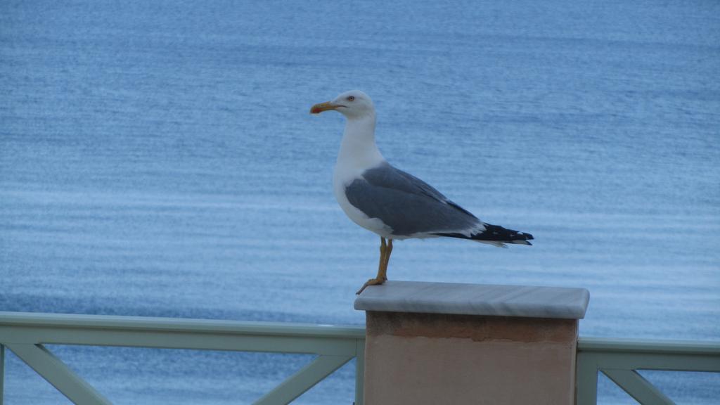 Apollonos Seafront Apartment Ermoupoli Eksteriør billede
